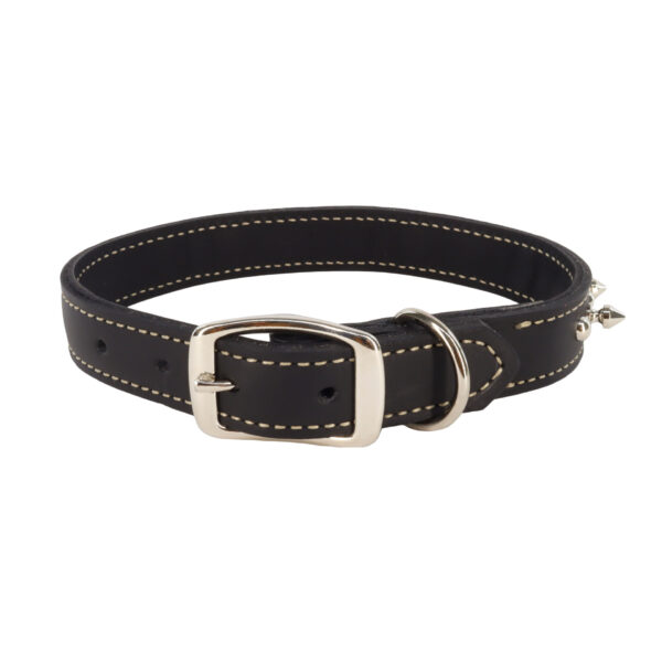 Circle T  Oak Tanned Leather Double-Ply Spiked Dog Collar