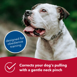 Herm. Sprenger  Ultra-Plus Prong Dog Training Collar