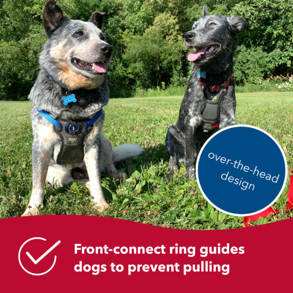 Walk Right!  Front-Connect No-Pull Padded Dog Harness