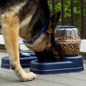 Bergan  Petite Gourmet Feeder