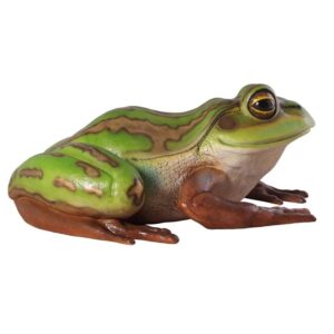 Design Toscano NE100017 32 1/2 Inch Pine Barrens Giant Tree Frog