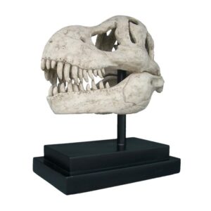 Design Toscano NE100502 10 Inch T-Rex Dinosaur Skull on Mount