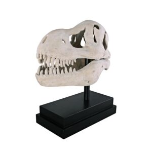 Design Toscano NE100502 10 Inch T-Rex Dinosaur Skull on Mount