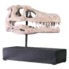 Design Toscano NE100503 10 1/2 Inch Velociraptor Skull Fossil Statue