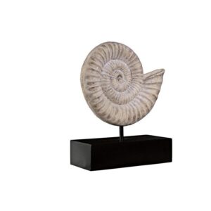 Design Toscano NE100505 8 1/2 Inch Ammonite Fossil Statue on Mount