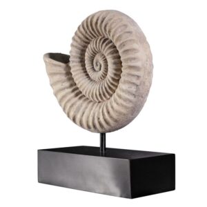 Design Toscano NE100505 8 1/2 Inch Ammonite Fossil Statue on Mount