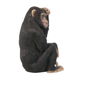 Design Toscano NE110026 18 1/2 Inch Chauncey the Confused Chimp Statue