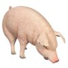 Design Toscano NE120073 50 Inch Divine Swine Life Size Farm Pig Statue