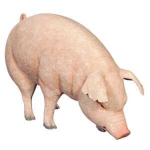 Design Toscano NE120073 50 Inch Divine Swine Life Size Farm Pig Statue