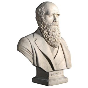 Design Toscano NE130080 21 Inch Darwin Bust