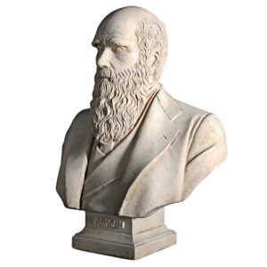 Design Toscano NE130080 21 Inch Darwin Bust