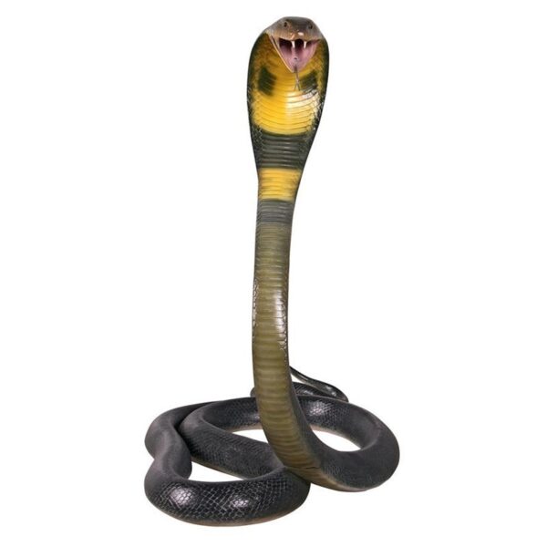 Design Toscano NE160182 42 Inch King Cobra Life Size Snake Statue