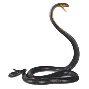 Design Toscano NE160182 42 Inch King Cobra Life Size Snake Statue