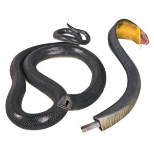 Design Toscano NE160182 42 Inch King Cobra Life Size Snake Statue