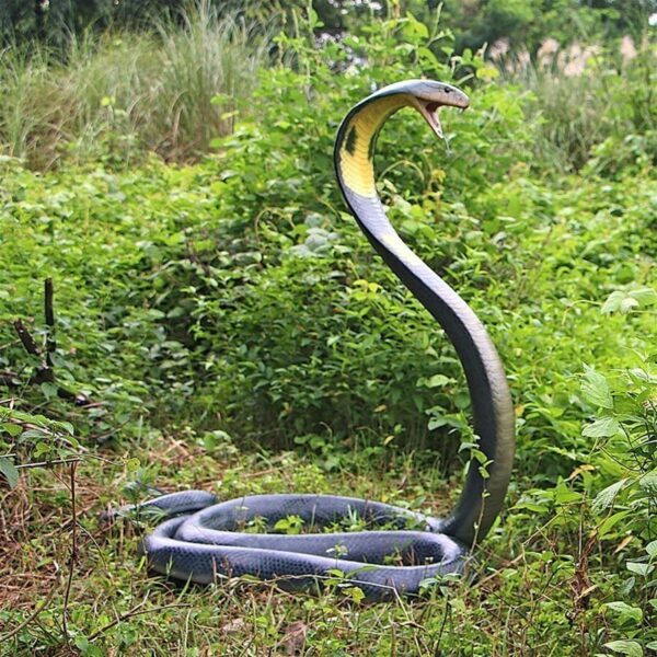 Design Toscano NE160182 42 Inch King Cobra Life Size Snake Statue