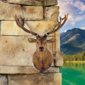 Design Toscano NE170216 51 Inch Grand Stag Head Wall Decor