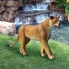 Design Toscano NE180220 96 Inch Walking Lioness Statue