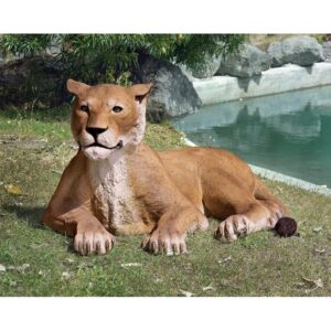 Design Toscano NE80115 Grand-Scale Wildlife Animal 55 Inch Lioness Lying Down Statue