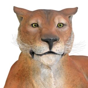 Design Toscano NE80115 Grand-Scale Wildlife Animal 55 Inch Lioness Lying Down Statue