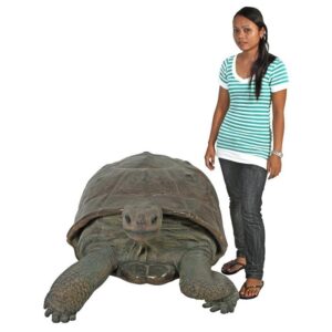 Design Toscano NE80124 Grand-Scale Wildlife Animal 60 1/2 Inch Galapagos Tortoise Statue