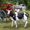 Design Toscano NE80139 79 Inch Grand Scale Holstein Statue