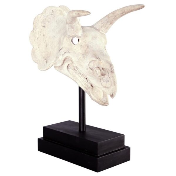 Design Toscano NE867039 10 1/2 Inch Triceratops Dinosaur Skull on Mount