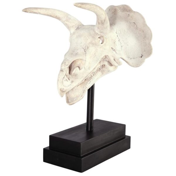 Design Toscano NE867039 10 1/2 Inch Triceratops Dinosaur Skull on Mount