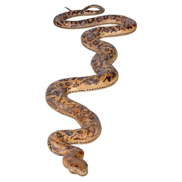 Design Toscano NE867145 99 1/2 Inch Giant Burmese Python Statue