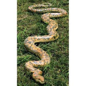 Design Toscano NE867145 99 1/2 Inch Giant Burmese Python Statue