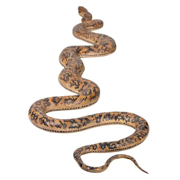 Design Toscano NE867145 99 1/2 Inch Giant Burmese Python Statue