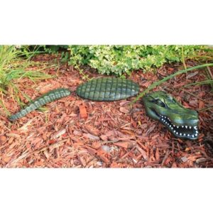 Design Toscano NG296989 6 1/2 Inch Fearless Floating Gator