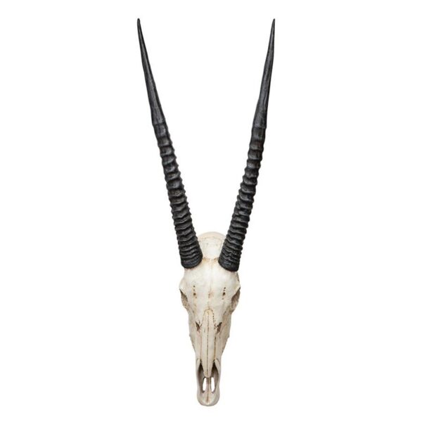 Design Toscano NG31557 16 1/2 Inch Gemsbok Wall Trophy