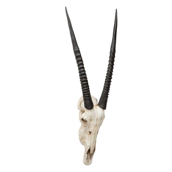 Design Toscano NG31557 16 1/2 Inch Gemsbok Wall Trophy