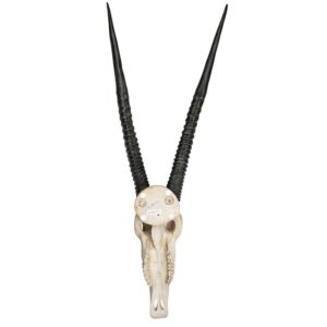 Design Toscano NG31557 16 1/2 Inch Gemsbok Wall Trophy