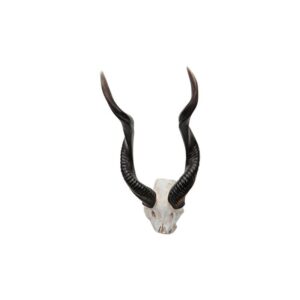 Design Toscano NG32187 8 Inch Kudu Wall Trophy