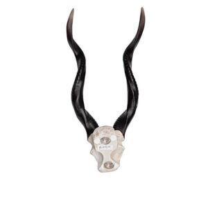 Design Toscano NG32187 8 Inch Kudu Wall Trophy