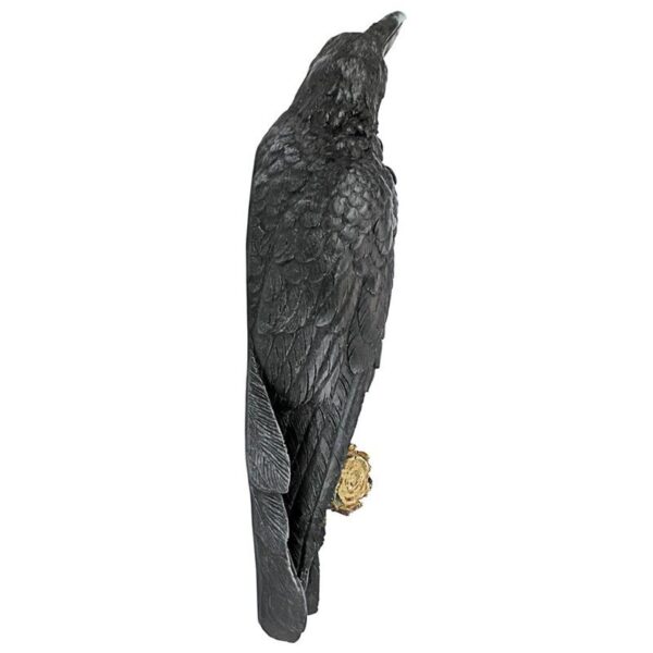 Design Toscano NG34872 7 1/2 Inch Ravens Perch Plaque