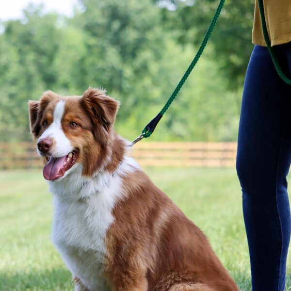 Coastal  Rope Dog Leash