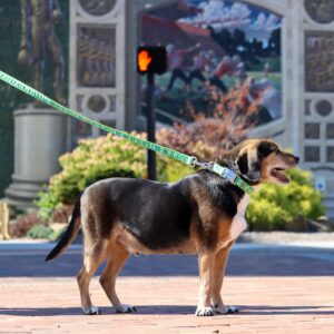 Ribbon Dog Leash