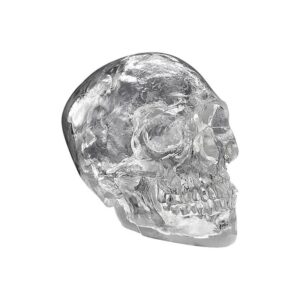 Design Toscano PD1204 4 1/2 Inch Wisdoms Journey Skull