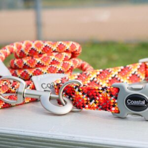 Pro  Active Adjustable Woven Reflective Dog Collar