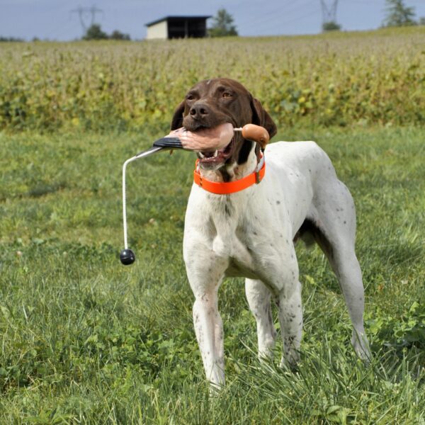 Water & Woods Foam Fowl Dog Trainers