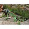 Design Toscano QL56991 22 Inch Iggy the Iguana Statue