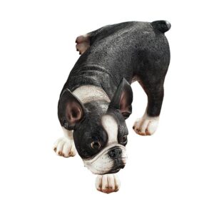 Design Toscano QL6280 12 Inch Lifting a Leg Peeing Boston Terrier