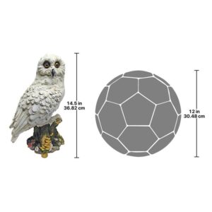 Design Toscano QM12509 7 Inch Mystical Owl Statue - White