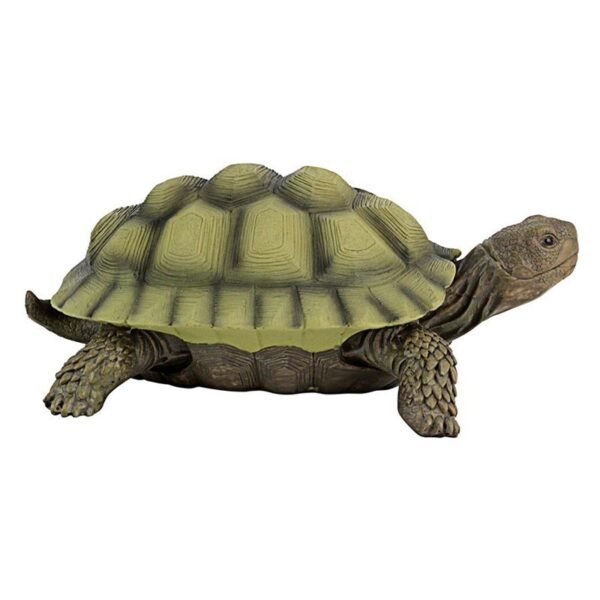 Design Toscano QM1887611 7 Inch Gilbert the Box Turtle Statue