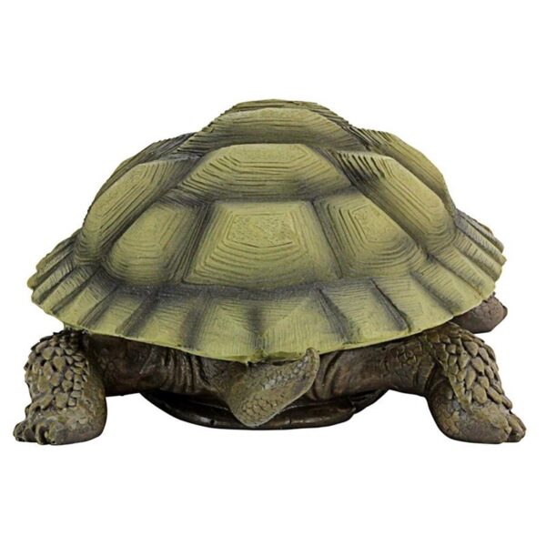 Design Toscano QM1887611 7 Inch Gilbert the Box Turtle Statue