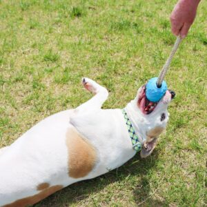 ProFit Foam Toy Rope Ball