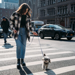 Lil Pals  Reflective Dog Collar