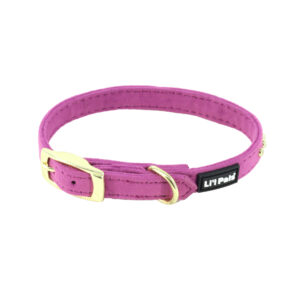 Lil Pals  BDazzled Velvet Dog Collar